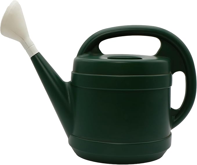 2 Gallon Large Capacity Plastic Garden Watering Can with Removable Spout and Dual Handle – Green Outdoor & Indoor Water Jug for Plants and Flowers