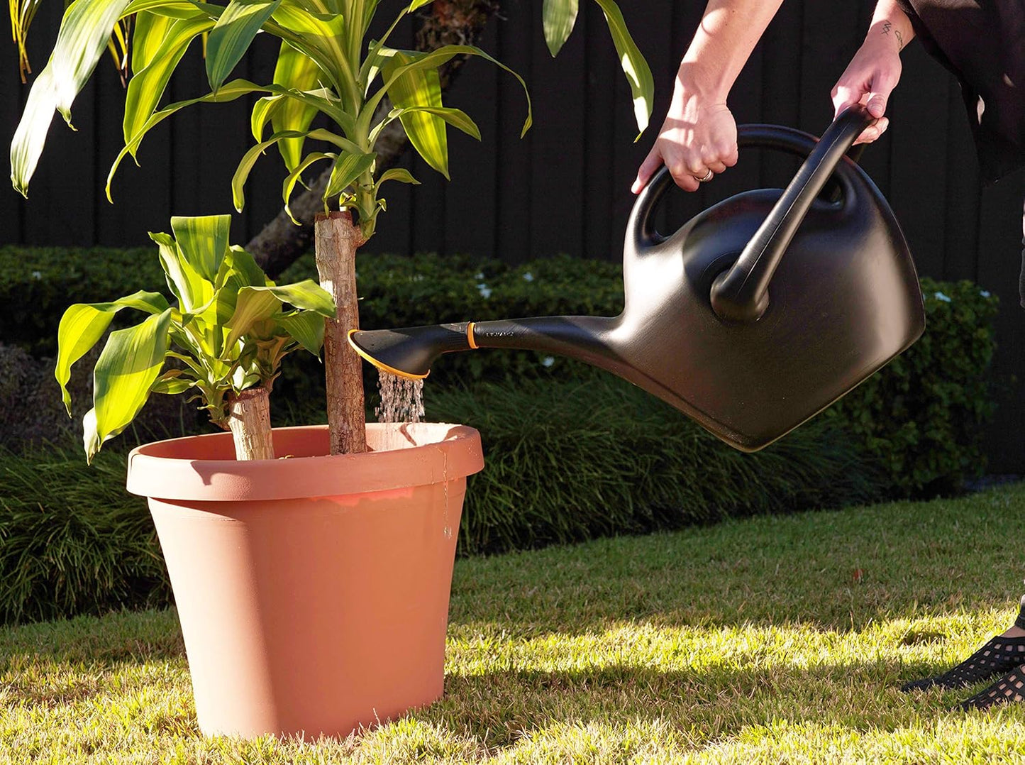 Black Dual Handle Watering Can with Detachable Shower Head – 1.5 Gallon Large Capacity Garden Watering Pot for Indoor & Outdoor Plants