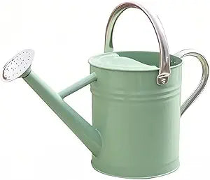1 Gallon Vintage Green Metal Watering Can with Long Spout & Carry Handle – Rust-Resistant Garden Water Jug for Indoor & Outdoor Plants (11.6" Tall, 16.1" Long)