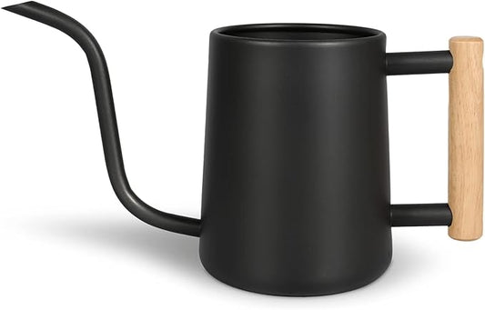 Minimalist Metal Watering Can with Long Spout – 1000ml/35oz Capacity, Wooden Handle, Precision Indoor Plant Watering Pot