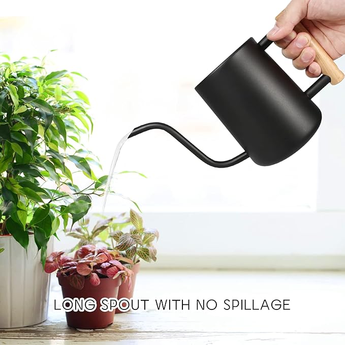 Minimalist Metal Watering Can with Long Spout – 1000ml/35oz Capacity, Wooden Handle, Precision Indoor Plant Watering Pot