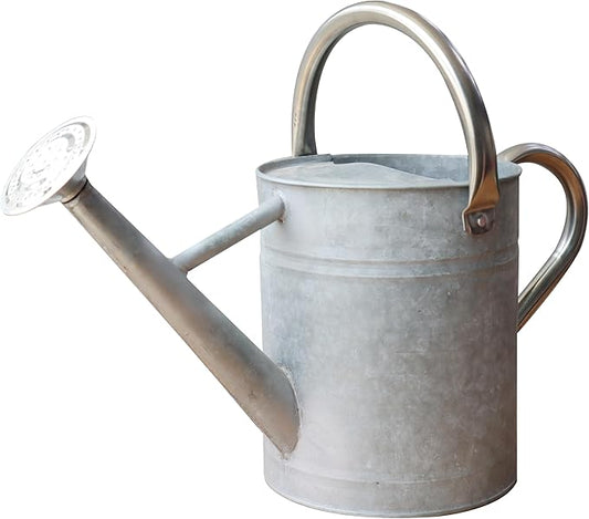 Vintage Galvanized Metal Watering Can – 1 Gallon Outdoor Garden Watering Pot with Long Spout & Dual Handles, Decorative Rust-Resistant Steel Construction